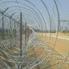 Sell Concertina Wire  D