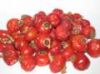 Sell rose hip