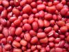 Sell Chinese New Crop High Quality Small Red Bean