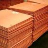 Copper Cathodes