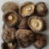 Sell dried mushroom