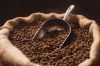 Export Coffee Beans | Arabica Coffee Beans Suppliers | Robusta Coffee Beans Exporters | Coffee Bean Traders | Wholesale Coffee Beans | Buy Coffee Beans | Bulk Coffee Bean | Green Coffee Bean Buyer | Low Price Roasted Coffee Bean | Import Coffee Bean | Cof