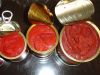 Sell 70g Tin can tomato paste