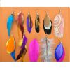 Sell new style feather earring over 40 styles mix color