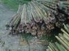 Sell RATTAN RAW MATERIALS