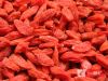 Goji Powder