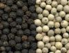 Sell VIETNAM BLACK PEPPER