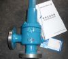 Sell safty valve