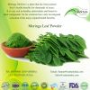 Herbal Supplement Moringa Leaf Powder