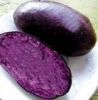 purple potatoes