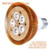 Sell LED 5W PAR Lamp