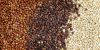 Sell White, Black & Red Quinoa