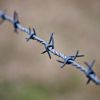 Sell galvanized barbed wire