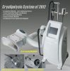 cryolipolysis beauty machine