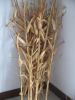 Sell artificial corn stalk