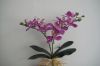 Sell Artifical orchid with leaves