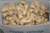 Sell Fresh Ginger/Air Dried Ginger
