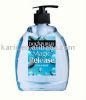 Anti-bacterial Liquid Soap Hand Wash 450ml