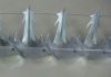 wall spike manufacturer