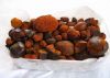 Ox/Cattle Gallstones for  exportation