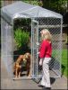 Sell outdoor dog kennel, dog cage