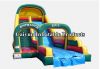 Giant Inflatable Slide