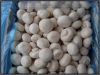 Sell Iqf Champignon Mushroom