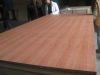 Sell Fancy Veneered MDF