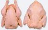 Sell Chicken