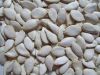 Sell  Melon Seeds, Peanuts, Pine Nuts, Pumpkin Kernels