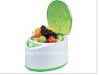 ZY-H108 Multi-function  Ozone fruits&vegetable washer