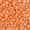 Sell Red Lentil