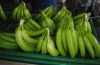 Sell fresh Cavendish bananas and fresh watermelons