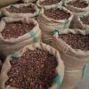 Cocoa Beans, Cocoa Powder, Organic Cocoa Beans And Powder