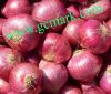 Sell fresh red onion