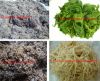 Sell Sargassum powder