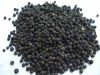 Sell Black Pepper 500-550GL