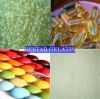 Sell Pharma Capsule Gelatin