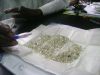 Sell Rough Diamonds