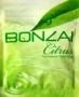 Sell Bonzai Citrus Herbal Incense 3g