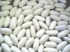 Sell White Kidney Beans