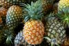 Sell Fresh quality Pineapples