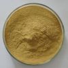 Sell Kava Kava Extract