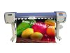 Sell 1.8M Epson DX5 Eco-Solvent Printer