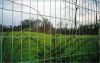 Sell Welded fence