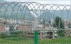 Sell Razor Wire Fence