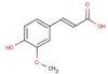 Sell ferulic acid