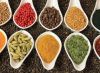 Sell savory condiment and seasoning