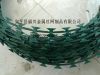 Provide pvc razor barbed wire