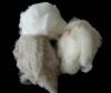 Sell cashmere fibre